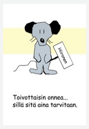 Z13. Onnea hiiri ekortti