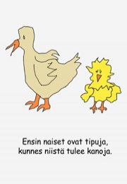 Z33. Tipusta kanaksi ekortti