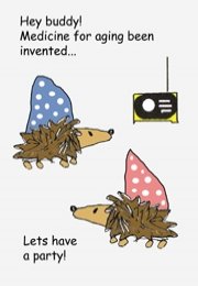 ZE1. Hedgehogs spend celebrations ecard