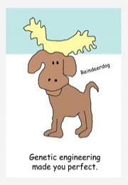 ZE25. Reindeer dog ecard