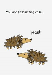 ZE6. Perfumed hedgehog ecard
